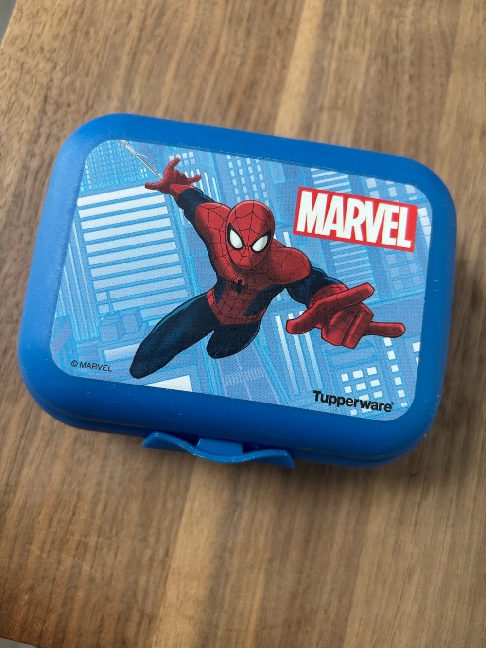 Tupperware Packable Clamshell Container in Blue Spiderman